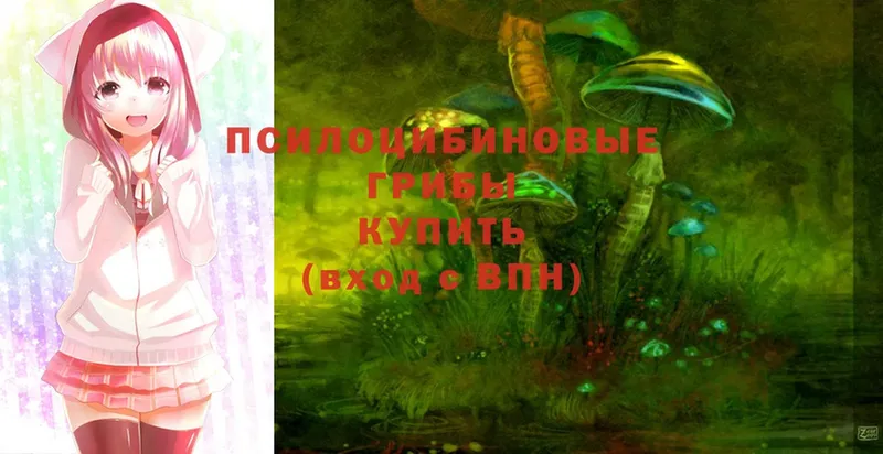 где можно купить наркотик  Нягань  Галлюциногенные грибы Magic Shrooms 