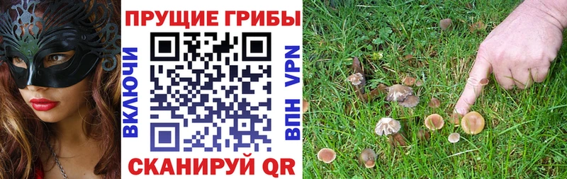 darknet формула  где найти наркотики  Нягань  Галлюциногенные грибы Cubensis 